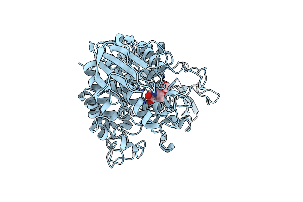 8YIF image
