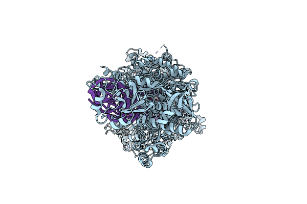 8YII image