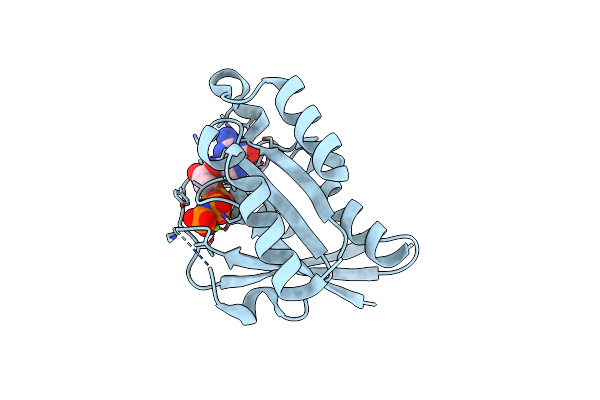 8YIM image