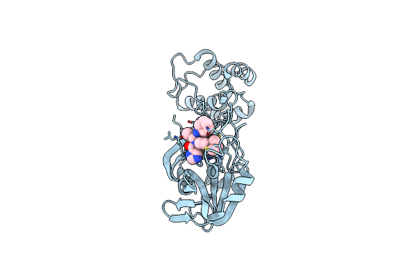 8YKQ image