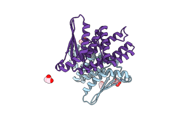 8YL4 image