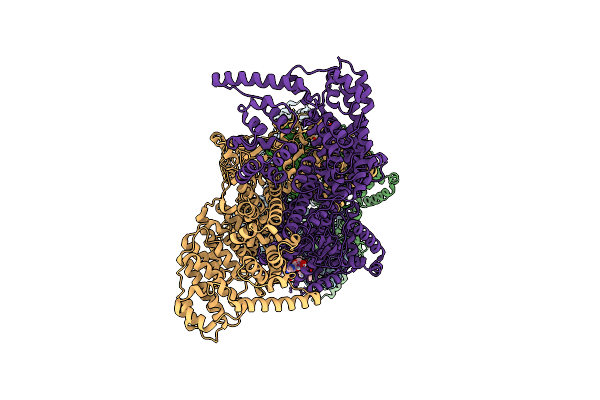 8YLT image