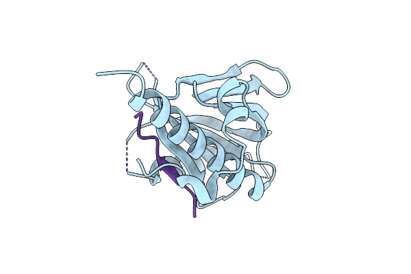 8YM2 image