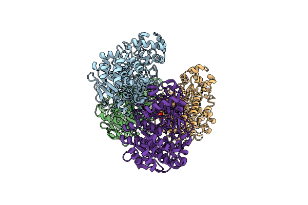 8YMA image