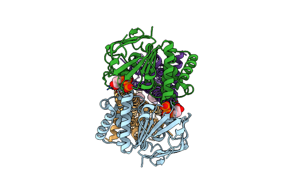 8YMC image