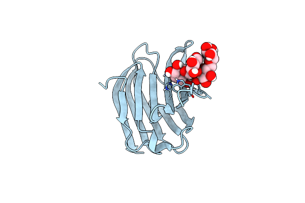 8YMD image