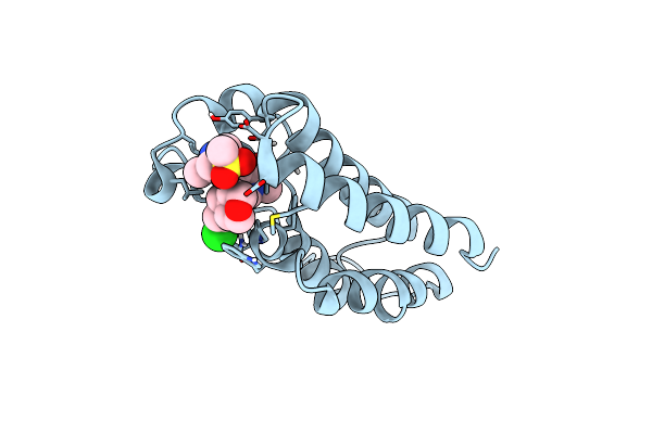 8YMG image
