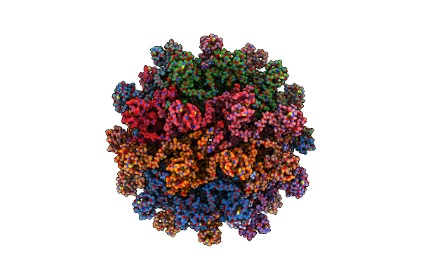 8YMJ image