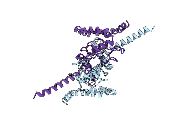 8YMK image
