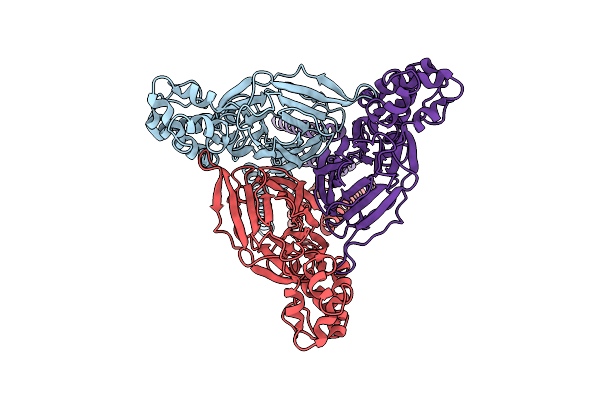 8YMT image
