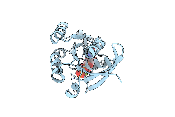 8YNR image