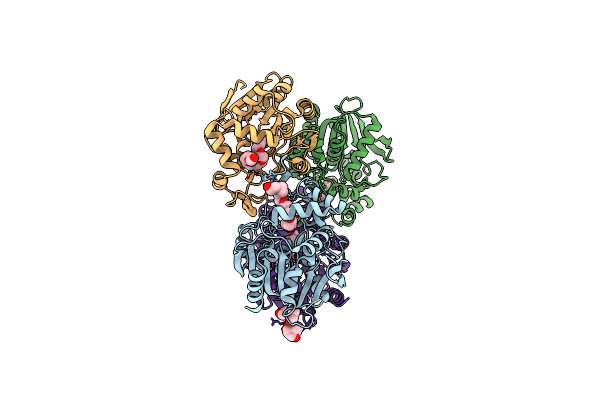 8YNV image