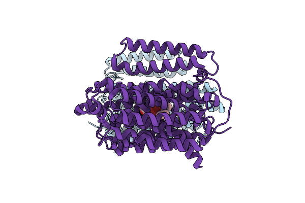 8YNZ image