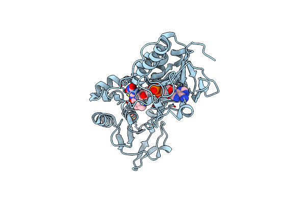 8YOX image