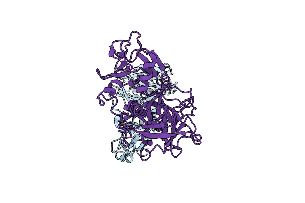 8YOY image