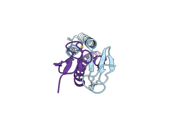 8YOZ image