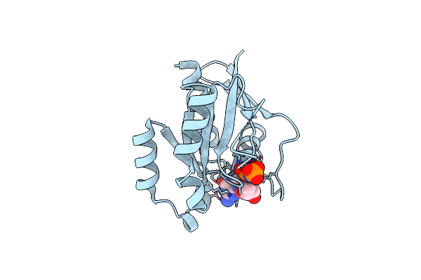 8YP0 image