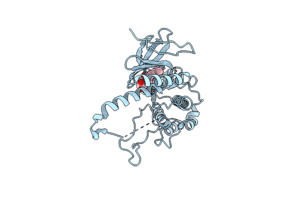 8YP5 image