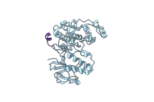 8YP8 image
