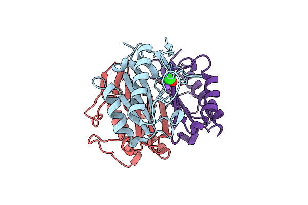 8YRC image
