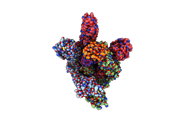 8YRP image