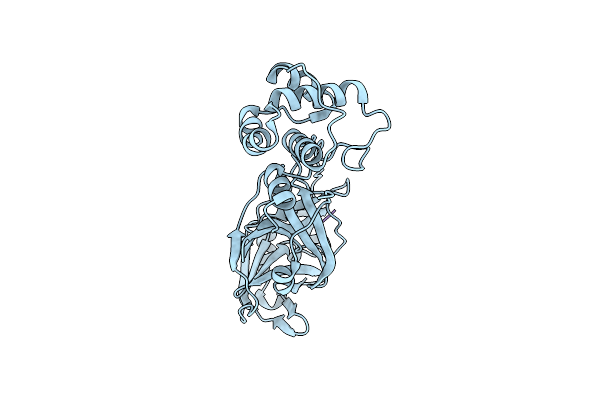 8YSA image