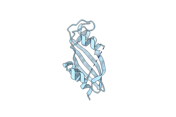 8YSB image