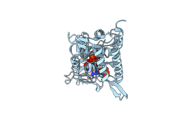 8YSD image