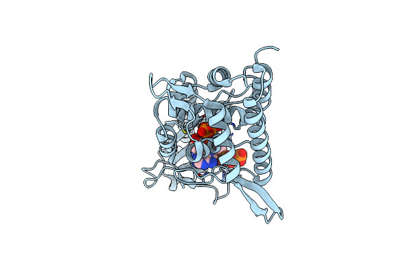8YSE image