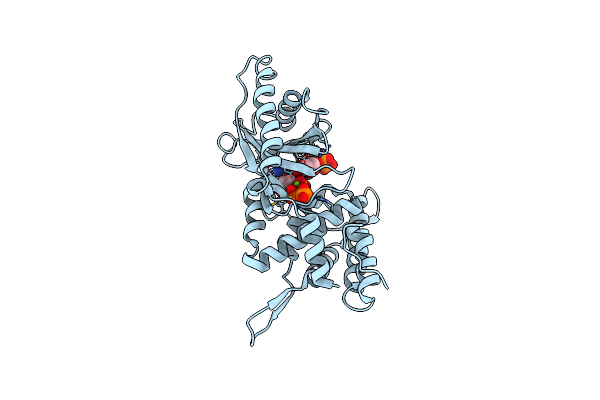 8YSG image