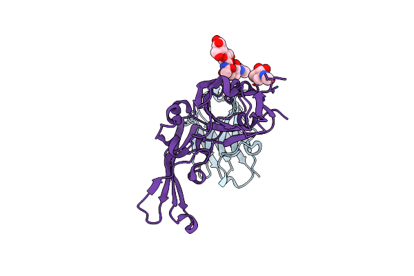 8YSH image