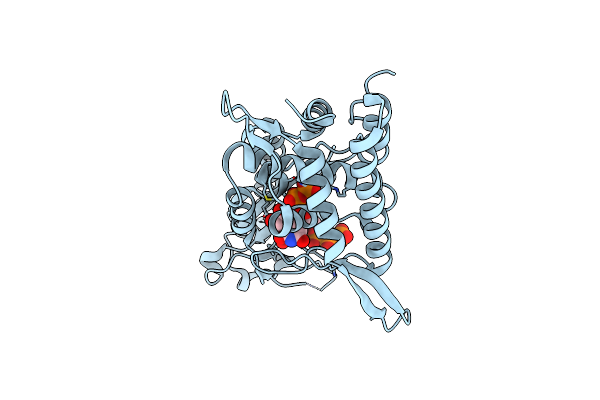 8YSI image