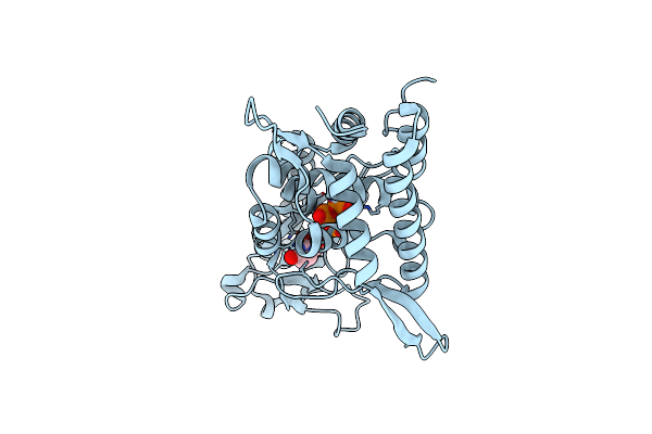 8YSK image