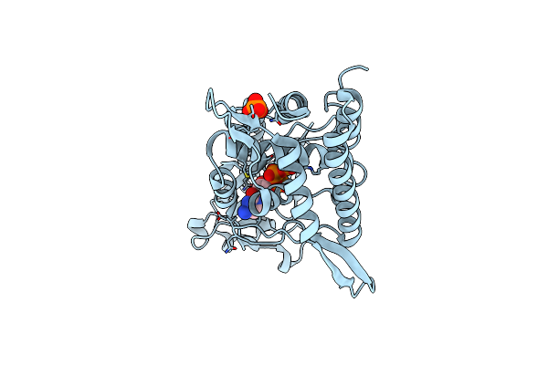 8YSM image