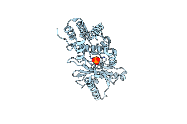 8YSN image