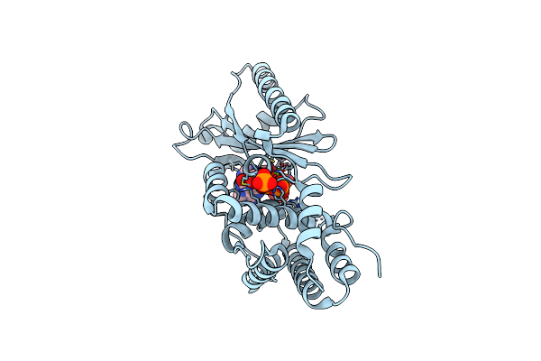 8YSO image