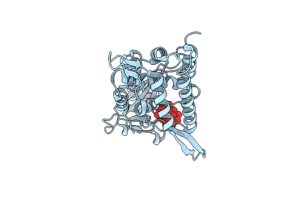 8YSR image