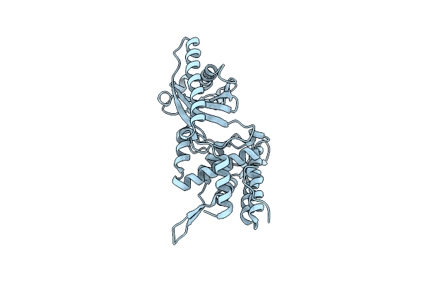 8YSS image