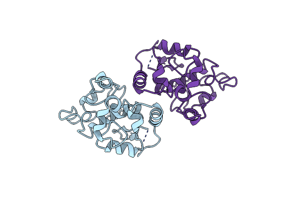 8YTC image