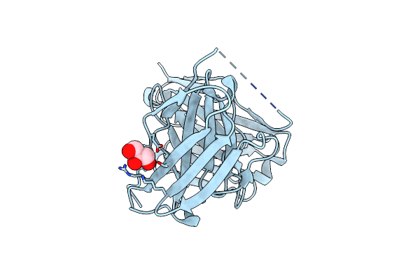 8YTN image