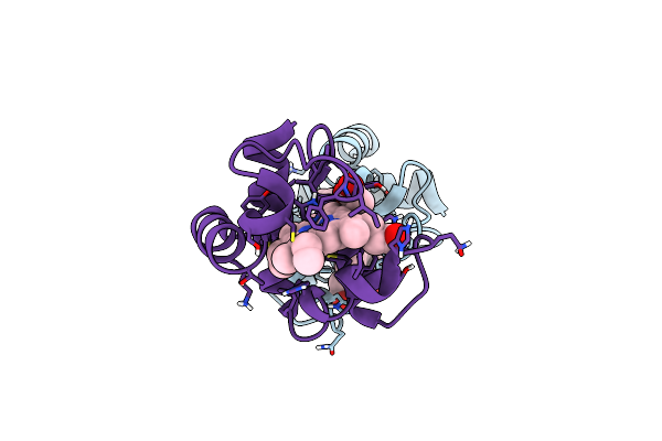 8YTS image