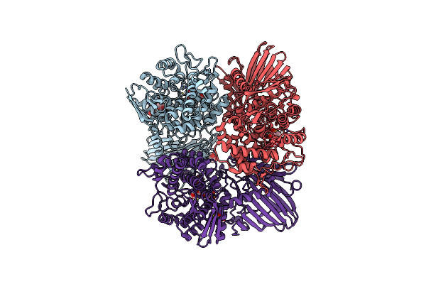 8YVS image