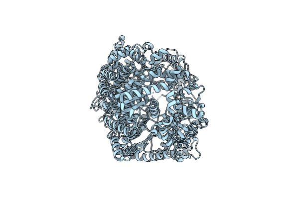 8YXP image