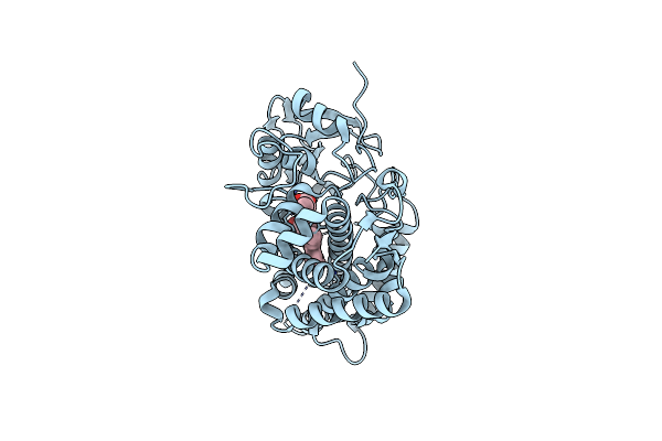 8YXT image