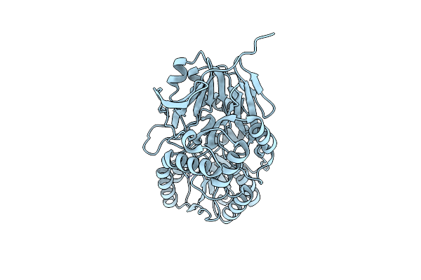 8YYF image