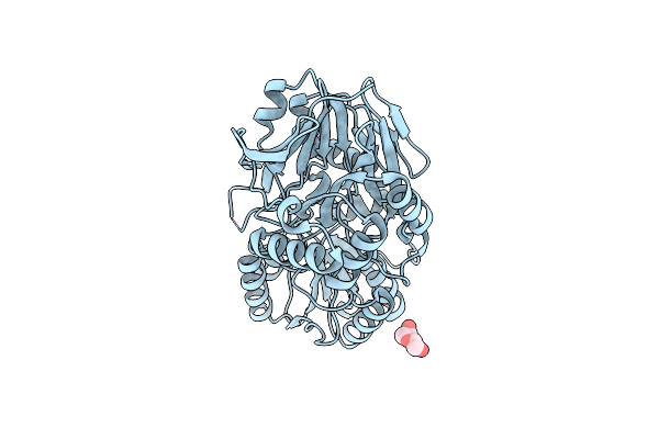 8YYI image