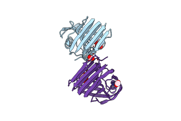8YYN image