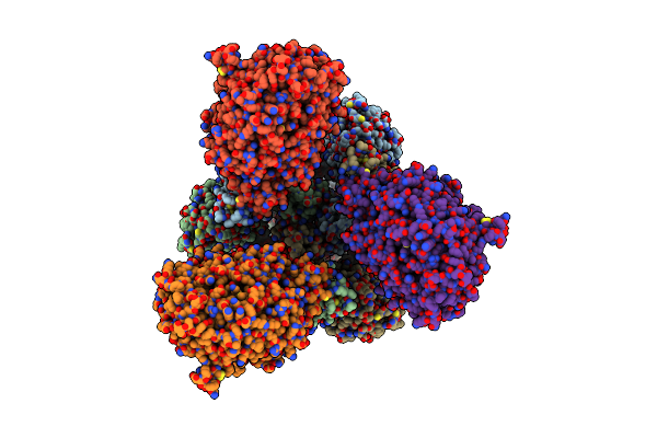 8YZC image