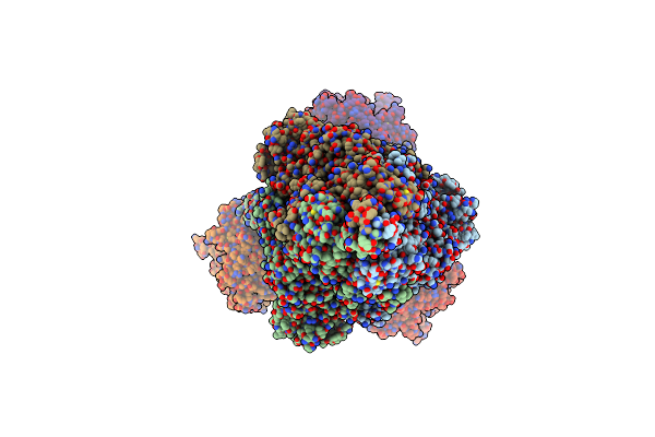 8YZE image