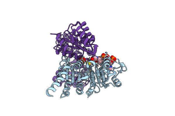 8Z02 image